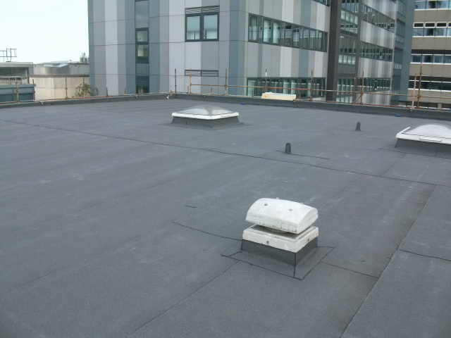 Whitla Medical Building in Belfast Roof Refurbishment