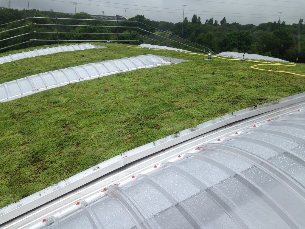 green roof mat